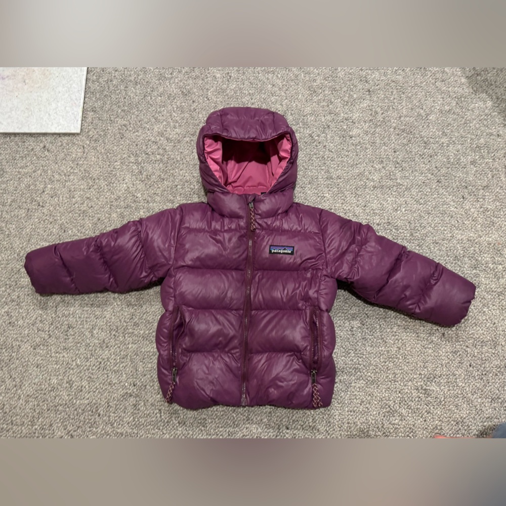 Patagonia Kids' Plum Hi Loft Down Puff Jacket